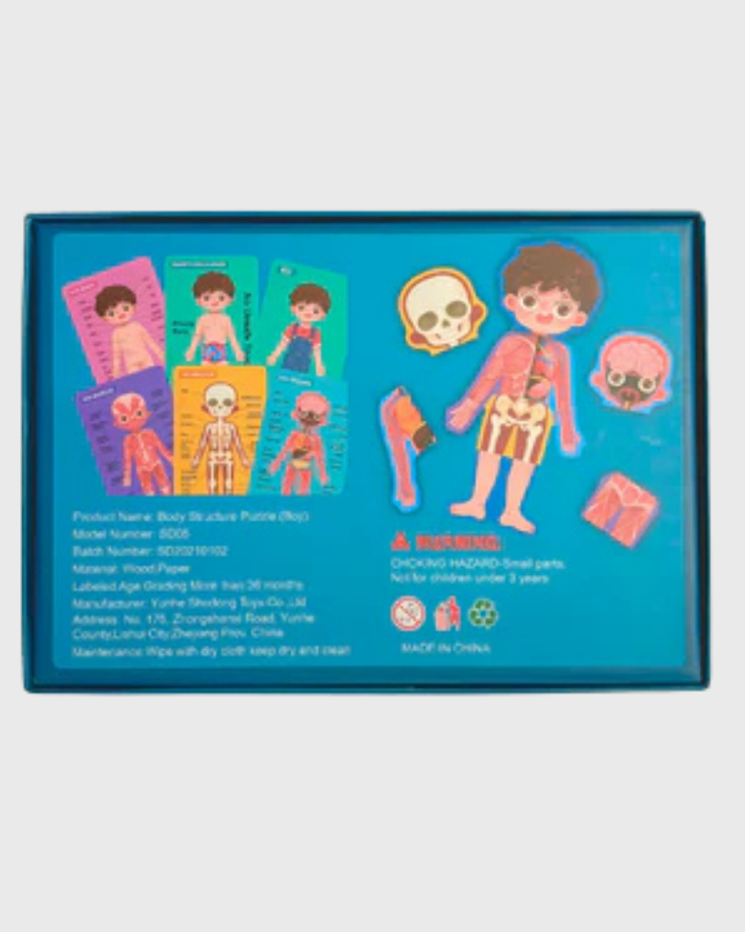 Human Body Structure Puzzle - Educational Anatomy Jigsaw for Kids