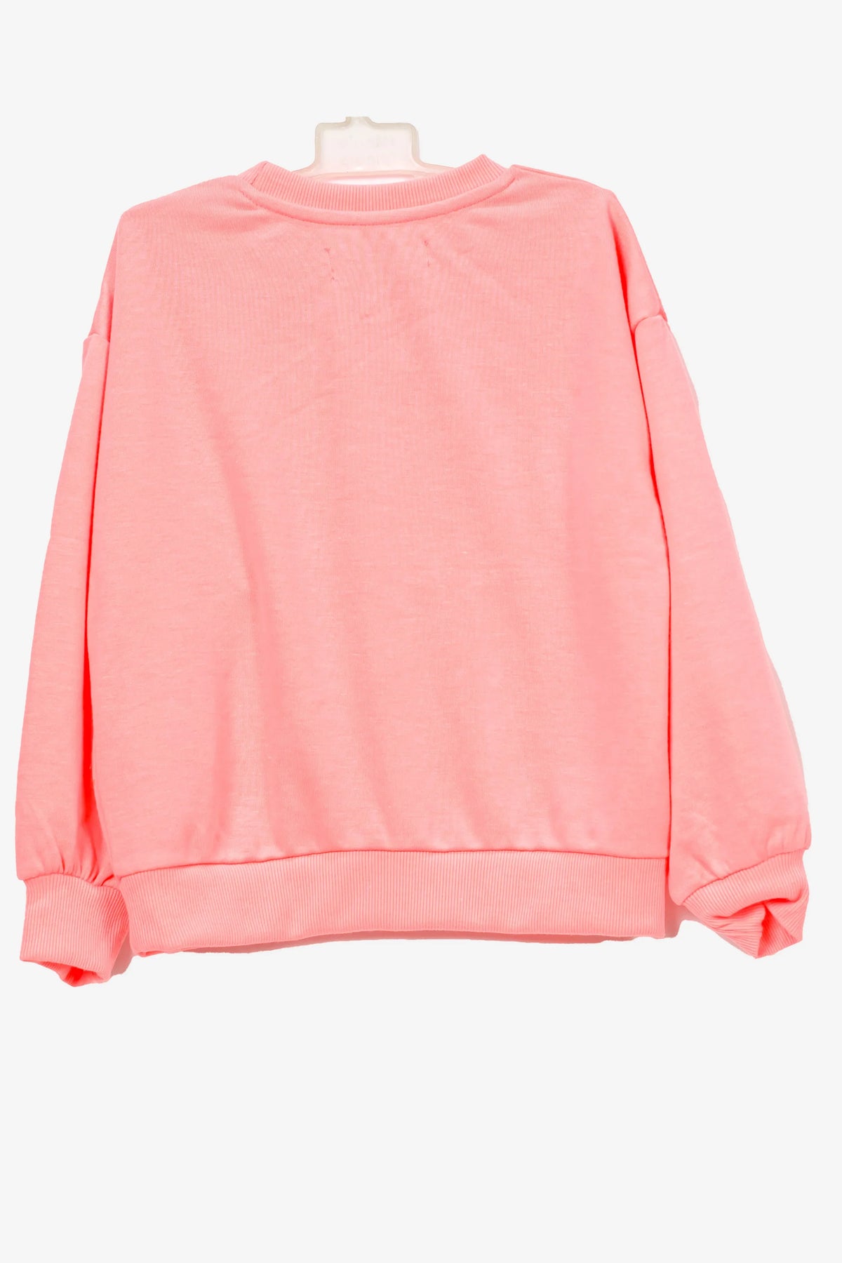 Plain pink kids sweatshirt with long sleeves on a hanger, back view