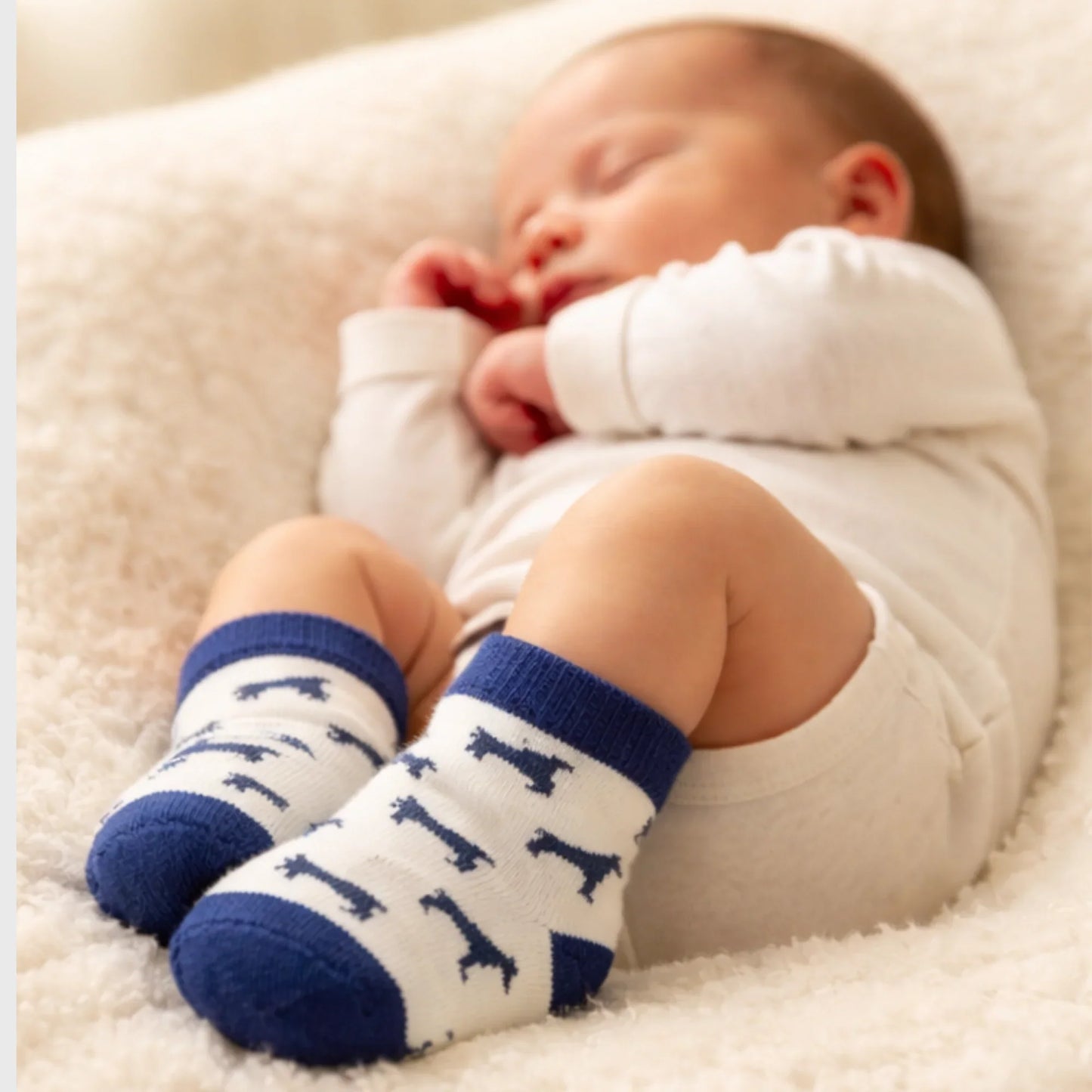 Navy and White Baby Socks