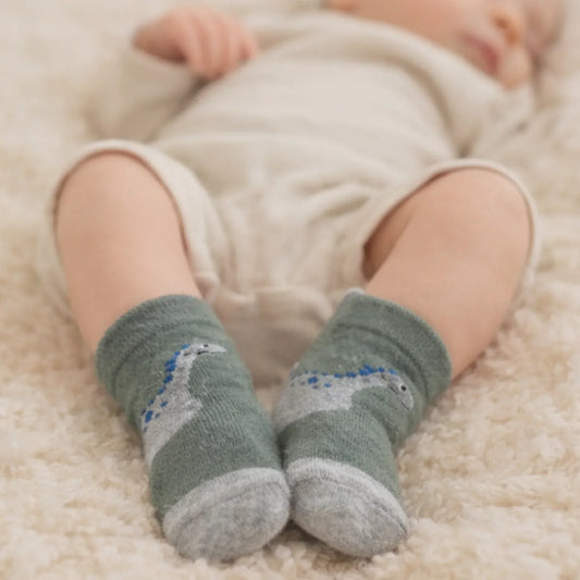 Dino Friend Baby Socks