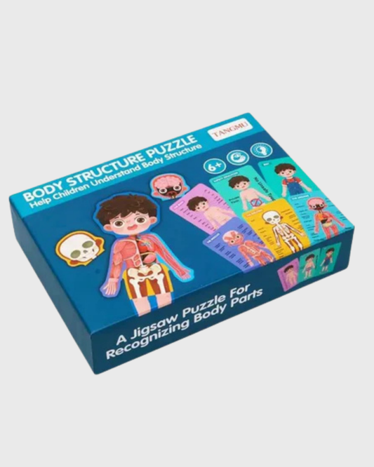 Human Body Structure Puzzle - Educational Anatomy Jigsaw for Kids