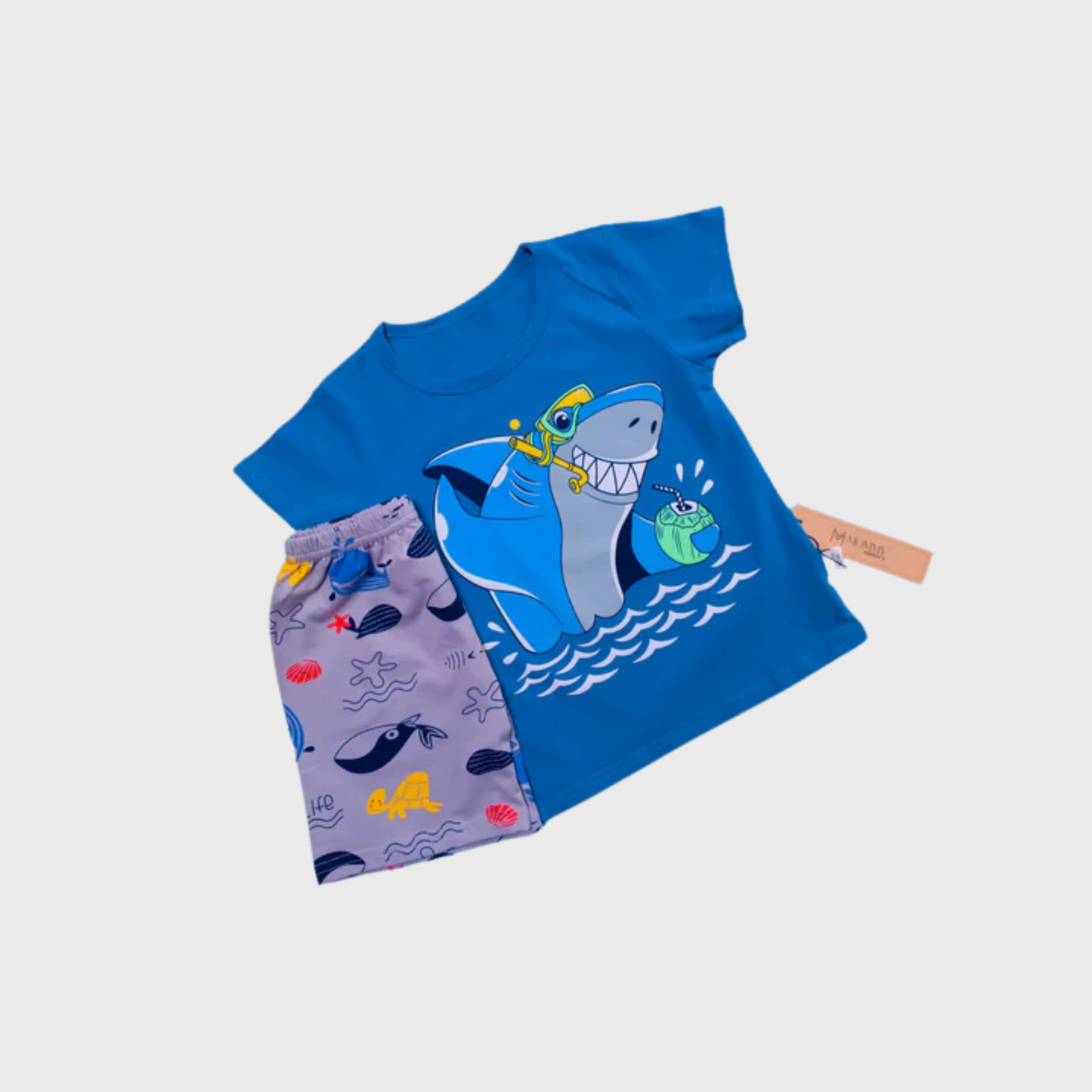 Blue T-Shirt & Short Set | (12M-6Yrs)