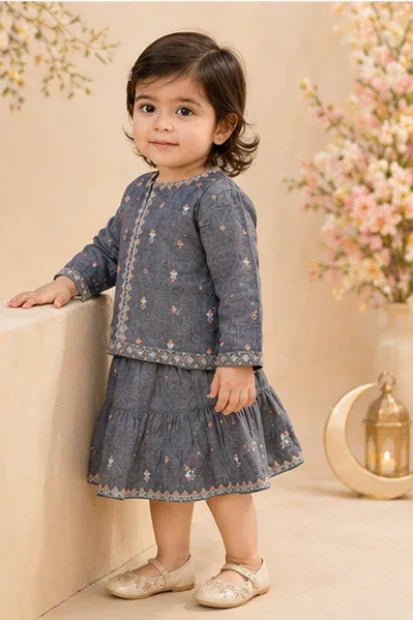 Baby Girls Embroidered Top & Skirt Set – Steel Blue
